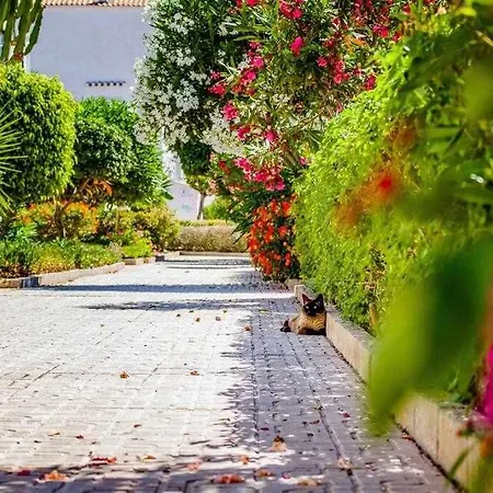 Dos Terrazas Apartment Torrevieja